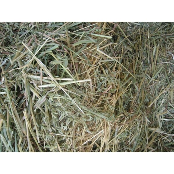 Heno De Alfalfa 1kg