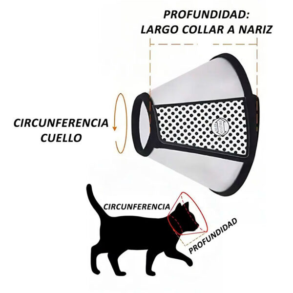 Collar Isabelino con Velcro
