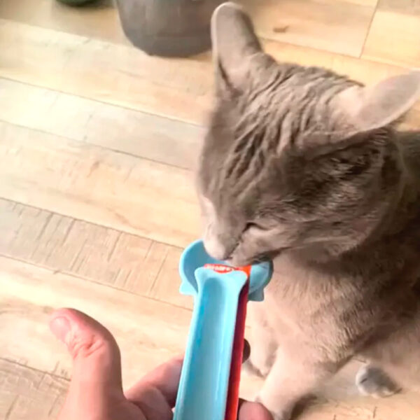 Cuchara dispensadora de cremoso para Gatos