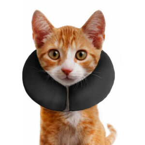 COLLAR INFLABLE XS - PROCOLLAR ISABELINO