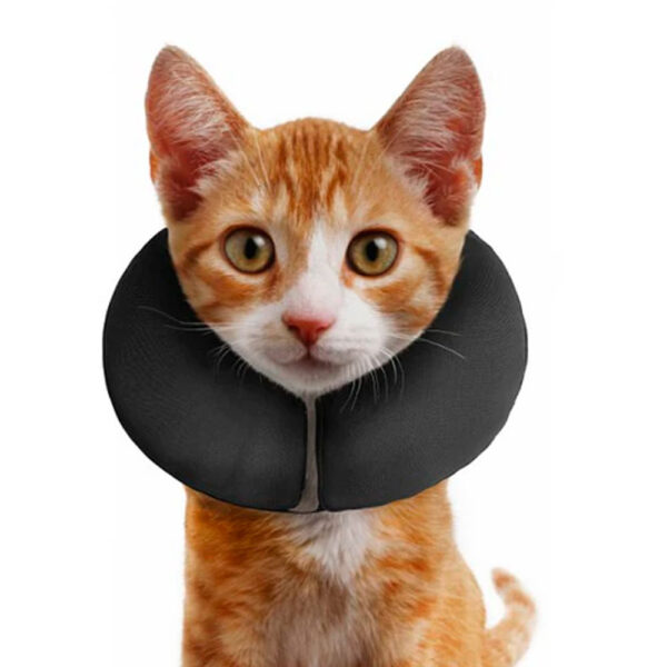 collar-inflable-pro-collar-isabelino-c COLLAR INFLABLE M - PROCOLLAR ISABELINO