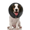 collar-inflable-pro-collar-isabelino-d COLLAR INFLABLE M - PROCOLLAR ISABELINO