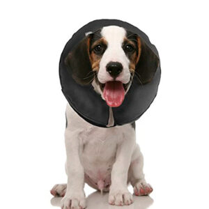 COLLAR INFLABLE S - PROCOLLAR ISABELINO