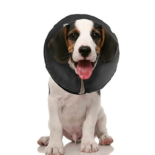 collar-inflable-pro-collar-isabelino-d COLLAR INFLABLE M - PROCOLLAR ISABELINO