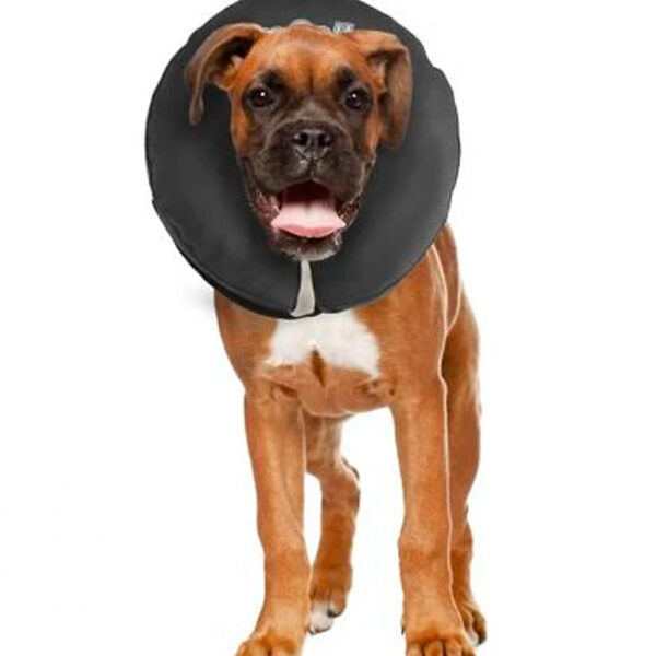 collar-inflable-pro-collar-isabelino-e COLLAR INFLABLE M - PROCOLLAR ISABELINO